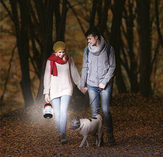 Linterna LED plegable